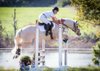 Emily Holmes (3day Event Rider and Event Coordinator:Florida Horse Park)